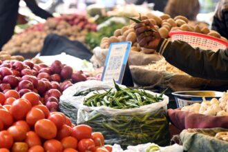 Wholesale price inflation rises to 8.3% in April due to sharp rise in fuel, electricity and crude oil prices