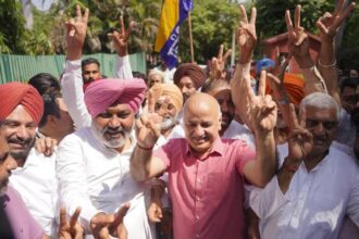 Punjab local polls: Congress, Akalis, Bharatiya Janata Party fail to set tone for 2027, AAP retains support base