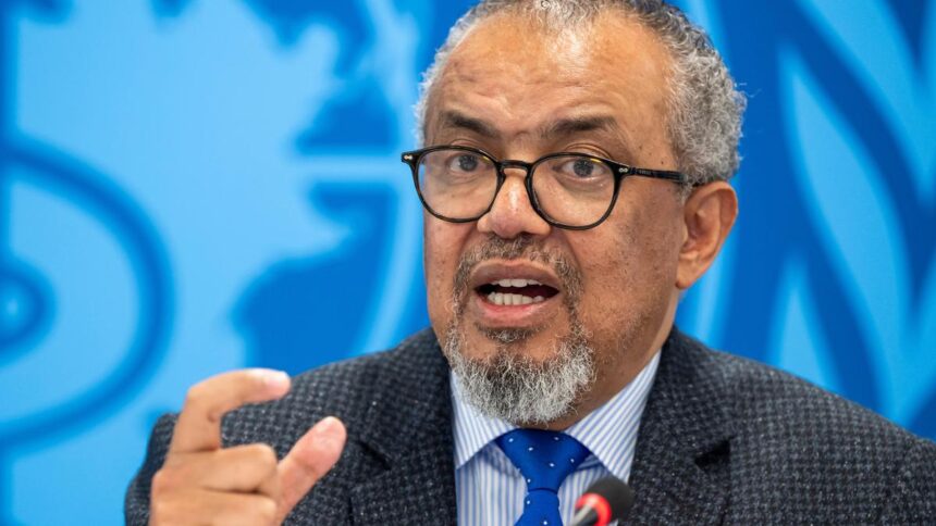WHO Director-General scheduled in Canary Islands to coordinate evacuation from Hantavirus ship