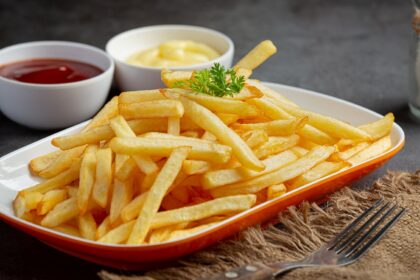 fries