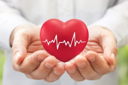 Human heart and reasons behind low heart cancer risk