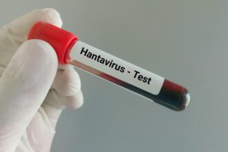Why are hantaviruses attracting global attention? |Explained