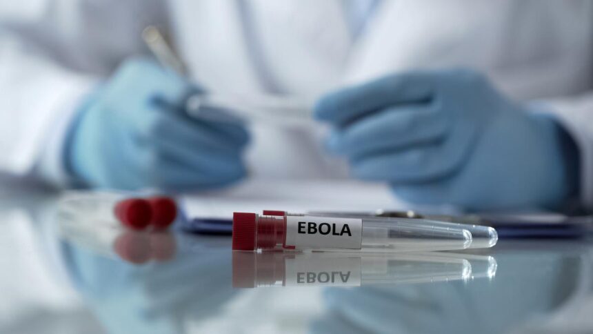 Center for close monitoring of the Ebola situation in Central Africa: Ministry of Health