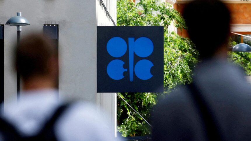 OPEC+ to raise small oil production quotas in July