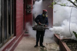 Why is Sri Lanka's dengue outbreak straining the public health sector? | Explained