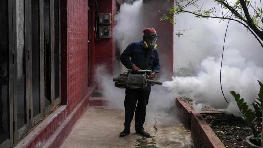 Why is Sri Lanka's dengue outbreak straining the public health sector? | Explained