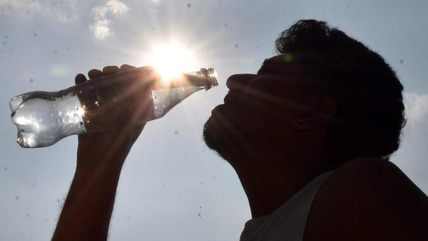 Heat waves and ozone increase cardiac deaths in India: study