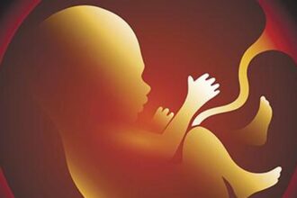 AIIMS Delhi researchers show exactly how particulate matter affects fetuses