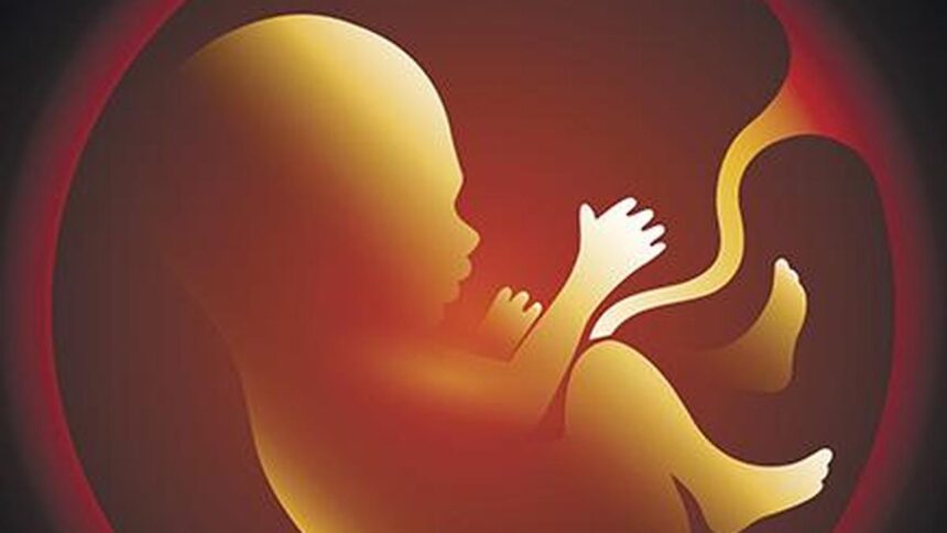 AIIMS Delhi researchers show exactly how particulate matter affects fetuses