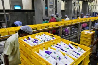 Heatwave puts India's record milk production to the test