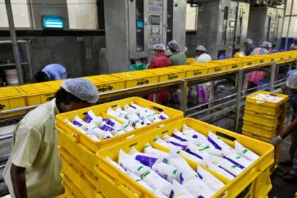 Heatwave puts India's record milk production to the test