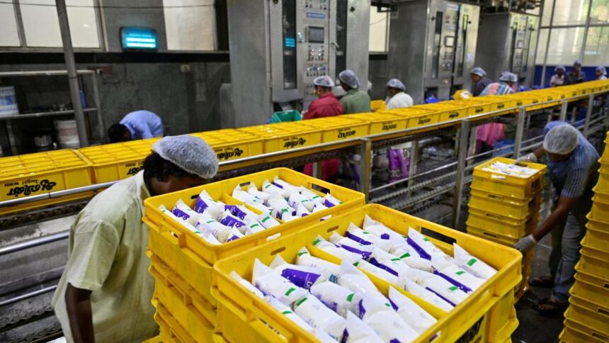 Heatwave puts India's record milk production to the test