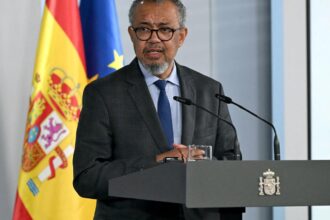 Heatwave-hit Europe must adapt health care: WHO