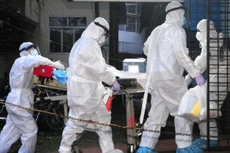 Nipah virus: Here's what you need to know