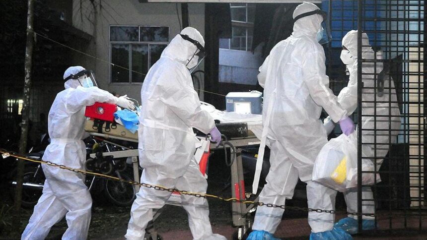 Nipah virus: Here's what you need to know