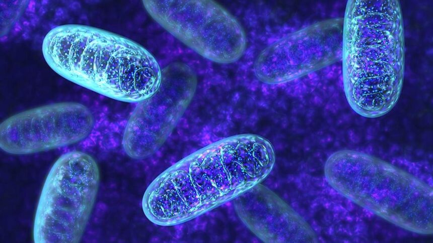 Hypermetabolism associated with early-life adversity may be harmful in the long term: study