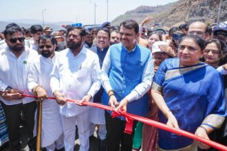 Mahayuti Fadnavis Shinde Pawar Maharashtra