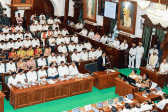 More than just an actor: CM Vijay lists out his activities, attacks DMK's 'corruption' in Tamil Nadu Assembly