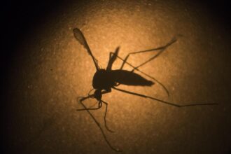 Drug-resistant malaria poses increasing challenges to treatment and eradication efforts