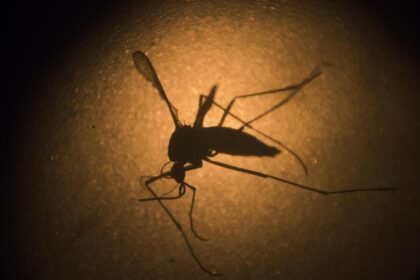 Drug-resistant malaria poses increasing challenges to treatment and eradication efforts