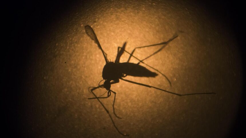 Drug-resistant malaria poses increasing challenges to treatment and eradication efforts