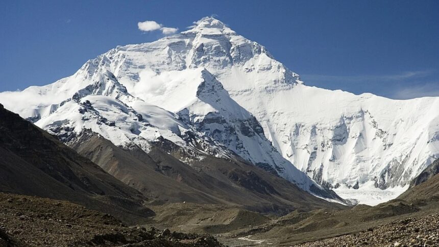 Everest survival