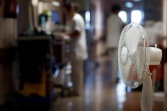 Data shows Europe recorded 10,000 excess deaths during late June heatwave