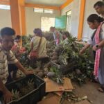Roadside vendors turned exporters: Meghalaya's 'numbered' farmers reap the fruits of their labor