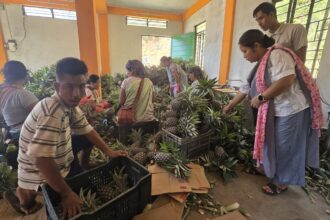 Roadside vendors turned exporters: Meghalaya's 'numbered' farmers reap the fruits of their labor