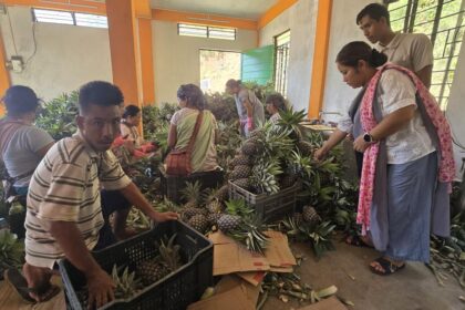Roadside vendors turned exporters: Meghalaya's 'numbered' farmers reap the fruits of their labor