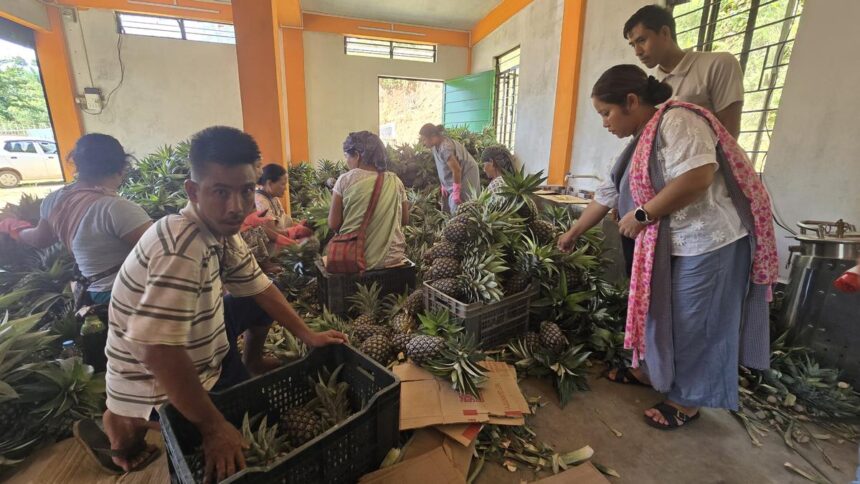 Roadside vendors turned exporters: Meghalaya's 'numbered' farmers reap the fruits of their labor