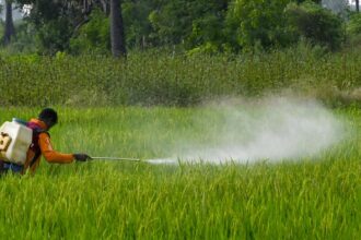 One body, multiple routes: Where India goes wrong in regulating pesticide exposure