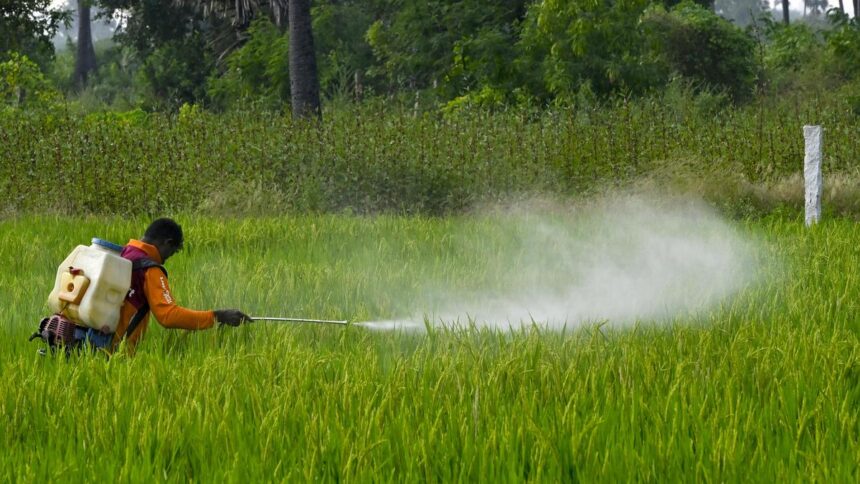 One body, multiple routes: Where India goes wrong in regulating pesticide exposure