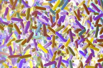 Study explains how psychological stress can alter the gut microbiome and increase disease risk