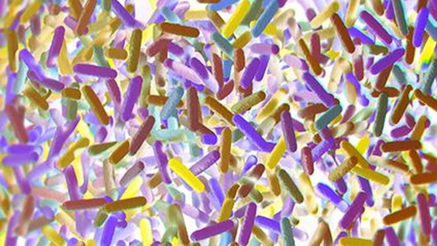 Study explains how psychological stress can alter the gut microbiome and increase disease risk