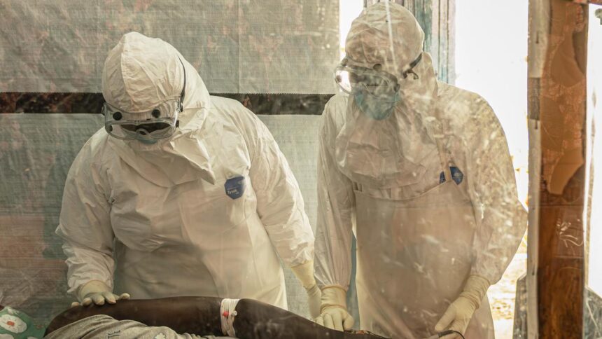 WHO announces trial of Bundibugyo Ebola treatment begins in Democratic Republic of Congo