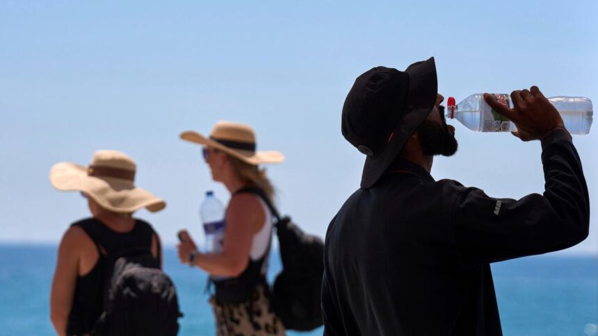 Death toll rises due to early heat wave in Europe, possibility of more than 10,000 deaths