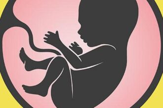 Indian scientists recreate key features of the human placenta on a chip