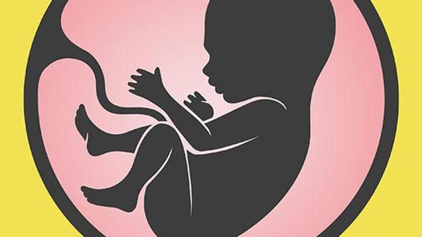 Indian scientists recreate key features of the human placenta on a chip