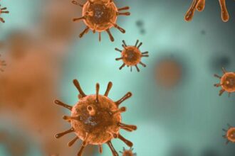 No evidence of virulent new coronavirus variant in Tennessee, Department of Health says