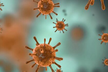 No evidence of virulent new coronavirus variant in Tennessee, Department of Health says
