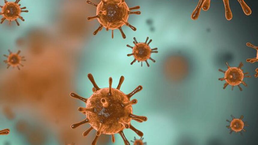 No evidence of virulent new coronavirus variant in Tennessee, Department of Health says