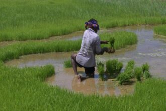 Impact of El Nino on Indian Economy |Explained