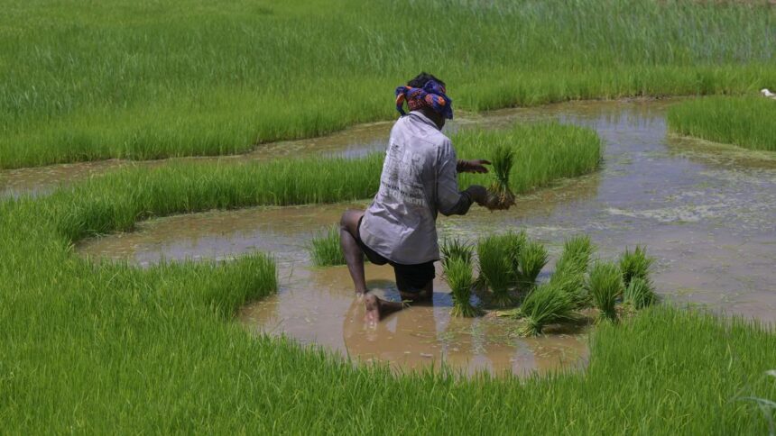 Impact of El Nino on Indian Economy |Explained