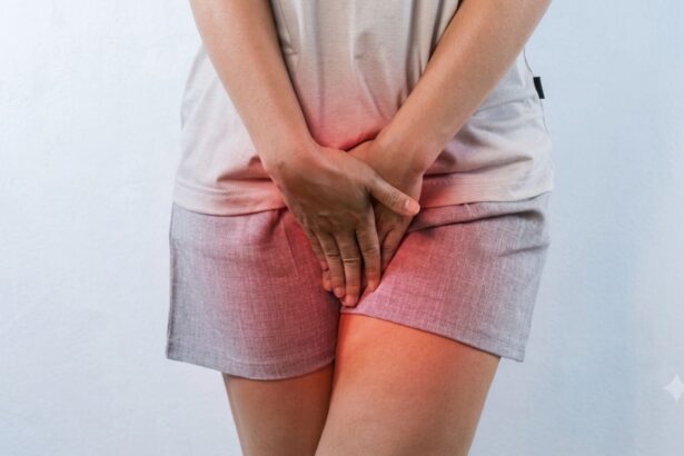 Illustration showing pelvic floor anatomy in women