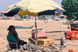As the seas change, women fishermen in Tamil Nadu struggle to survive