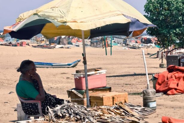 As the seas change, women fishermen in Tamil Nadu struggle to survive