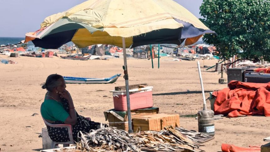 As the seas change, women fishermen in Tamil Nadu struggle to survive