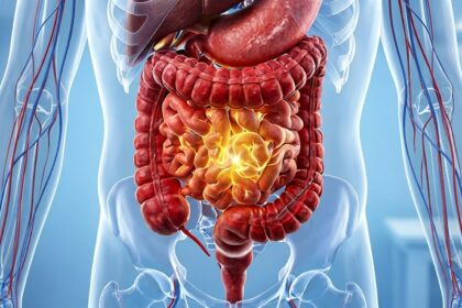 Healthy gut microbiome and digestive health in midlife