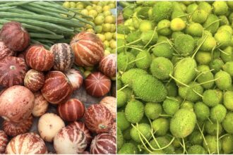 summer fruits, local indian fruits